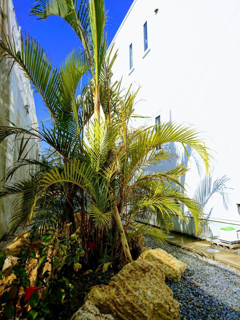 Premium Cottage Comfort Okinawa Onna Extérieur photo